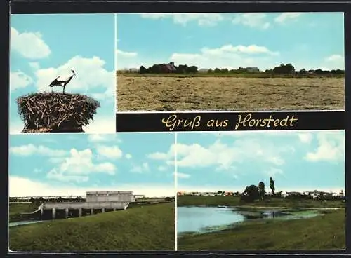 AK Horstedt / Rotenburg, Storch im Nest, gemähte Wiese und Strassenbrücke