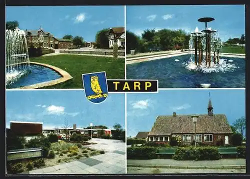 AK Tarp /Kr. Flensburg-Land, Parkanlage mit Brunnen und Kirche