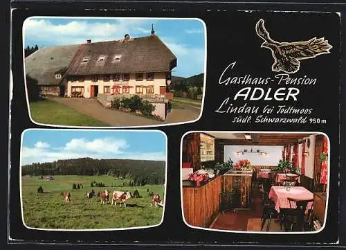 AK Lindau /Todtmoos, Gasthaus-Pension Adler, Kuhweide, Adler