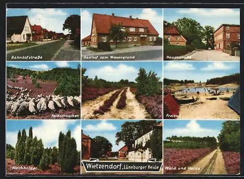 AK Wietzendorf, Bahnhofstrasse, Gasthof Zum Wiesengrund, Hauptstrasse, Freibad, Wald und Heide, Heidschnucken