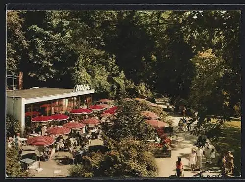 AK Karlsruhe, Gaststätte Milchbar im Zoo H. Gass mit Terrasse aus der Vogelschau