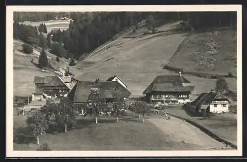 AK Todtmoos / bad. Schwarzw., Todtmoos-Glashütte