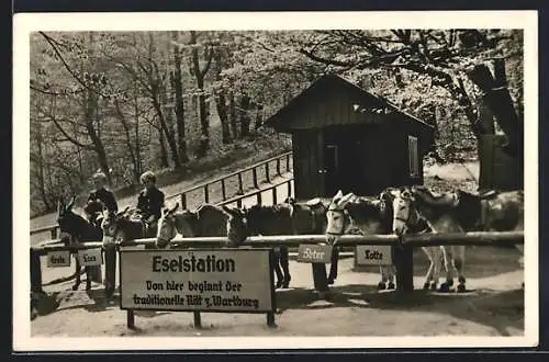 AK Eisenach /Thür., Eselstation