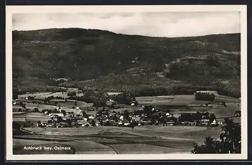 AK Arnbruck /bay. Ostmark, Ortsansicht aus der Ferne