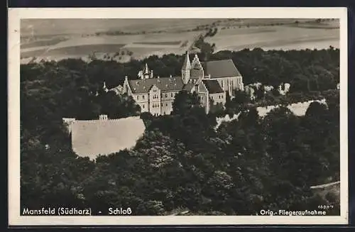 AK Mansfeld /Südharz, Schloss vom Flugzeug aus