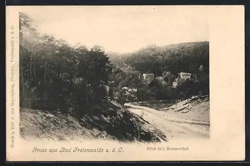 AK Bad Freienwalde a. d. O., Blick ins Brunnenthal