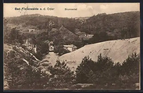 AK Bad Freienwalde a. d. Oder, Ortsansicht im Brunnental