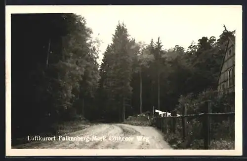 AK Falkenberg /Mark, Cöthener Weg am Waldrand