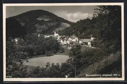 AK Waldbach, Teilansicht vom Berg aus