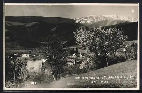 AK St. Johann a. St., Ortsansicht mit blühenden Bäumen im Mai