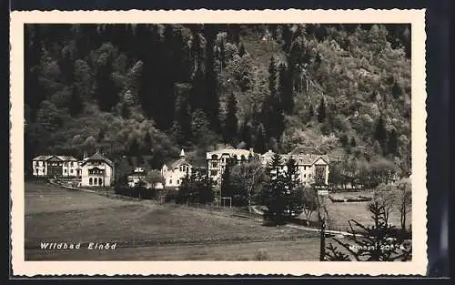 AK Dürnstein in der Steiermark, Wildbad Einöd vor bewaldeten Berghängen