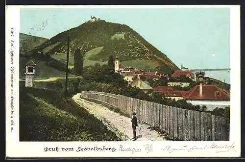 AK Wien, Blick hinau zum Leopoldsberg