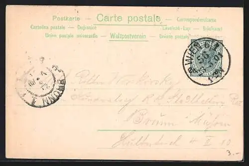 Lithographie Wien, Darstellung der Universität