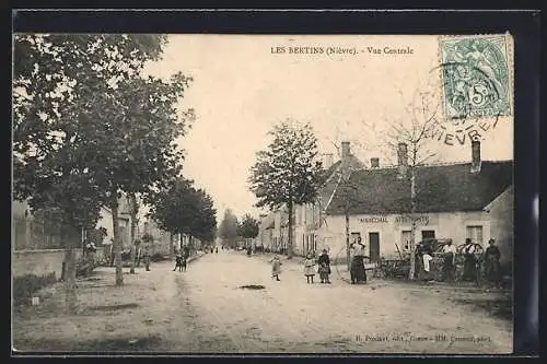 AK Les Bertins /Nièvre, Vue Centrale