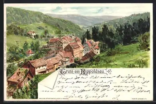 Lithographie Bad Rippoldsau, Strassenzug aus der Luft