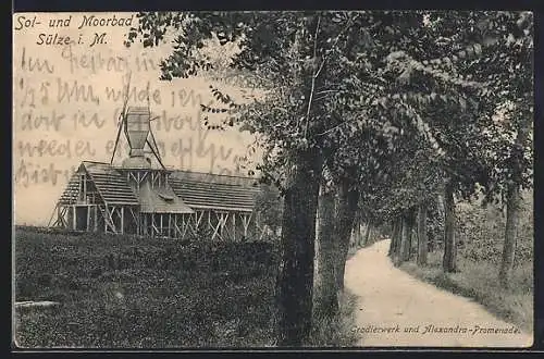 AK Sülze i. M., Gradierwerk und Alexandra-Promenade