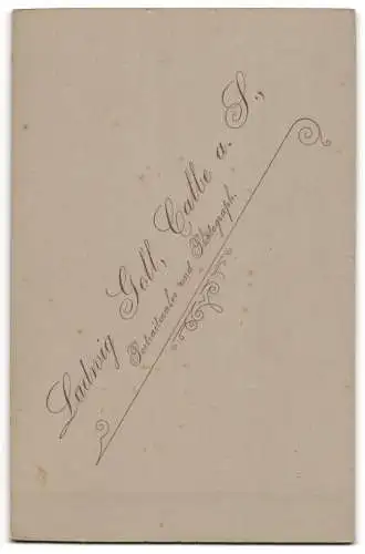 Fotografie Ludwig Goll, Calbe a. S., Frau in dunklem Kleid mit Buch