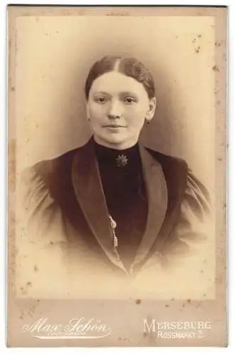 Fotografie Max Schön, Merseburg, Rossmarkt 2, Porträt einer Dame mit Brosche