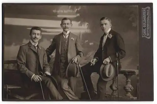 Fotografie Carl Goldammer, Wittenberg, Mittelstrasse 51, Drei elegante Herren mit Hüten und Spazierstöcken