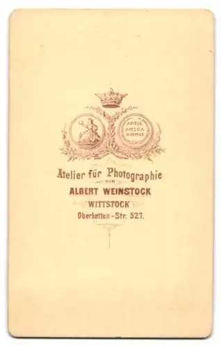 Fotografie Albert Weinstock, Wittstock, Oberketten-Str. 527, Porträt einer Frau in eleganter Kleidung