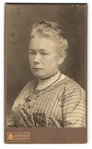 Fotografie A. Wertheim, Berlin, Leipzigerstr., Portrait einer Dame mit hochgestecktem Haar