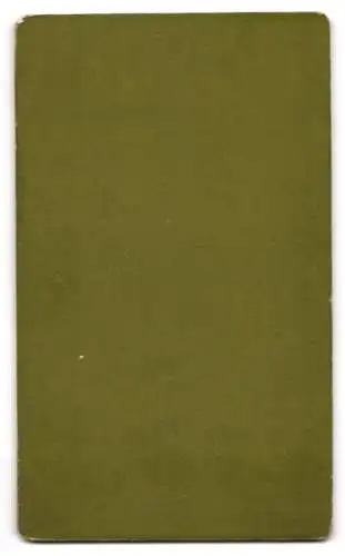 Fotografie W. Getz, Baltimore, Charles St., Portrait eines jungen Mannes im Anzug