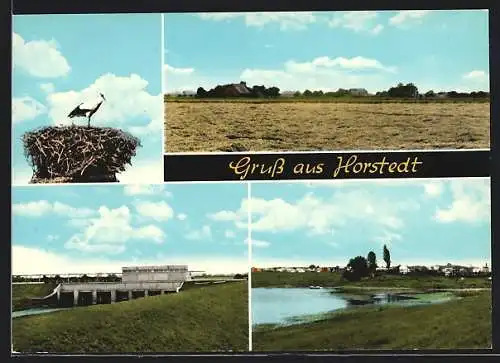 AK Horstedt / Rotenburg, Staudamm, Storchennest, Teich