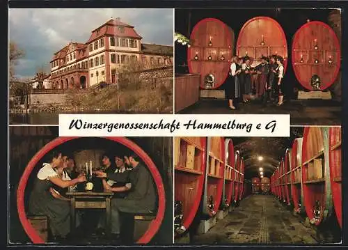 AK Hammelburg, Winzergenossenschaft Hammelburg eG, Am Marktplatz 11, Kirchgasse 4, Innenansichten