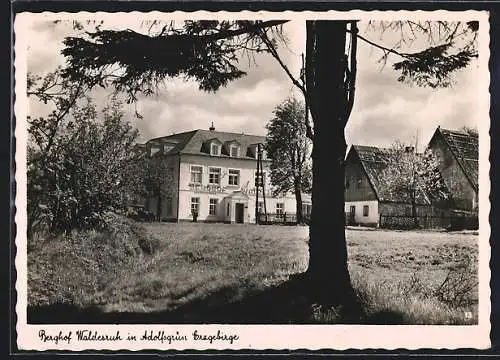 AK Adolfsgrün /Erzgebirge, Hotel Berghof Waldesruh