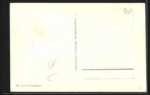 AK Bad Reichenhall, Kurgarten mit Untersberg