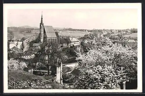 AK Krummau a. M., Stadtansicht zur Baumblüte