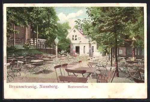 Lithographie Braunschweig, Partie aus der Restauration Nussberg mit Sommergarten