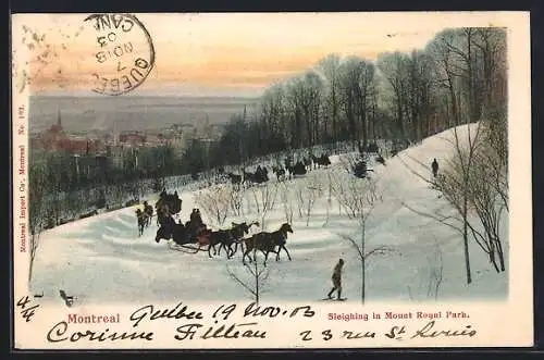 AK Montreal, Sleighing in Mount Royal Park