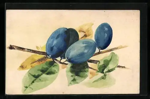 Künstler-AK Handgemalt: Pflaumen am Zweig