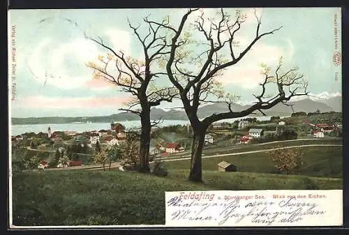 AK Feldafing / Starnberger See, Blick von den Eichen