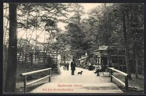 AK Suderode / Harz, Partie an den Verkaufshallen