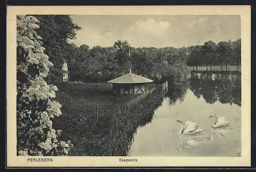 AK Perleberg, Stepenitz-Partie mit Pavillon und Schwanenpaar