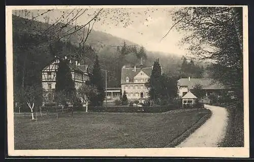 AK Kenzingen, Villen im Gebirge