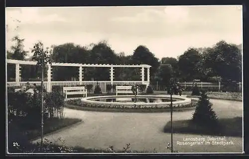 AK Landsberg / Gorzow Wlkp, Rosengarten im Stadtpark