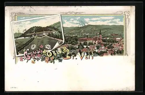 Lithographie Wien, Ober St. Veit, Einsiedelei, Totalansicht aus der Vogelschau