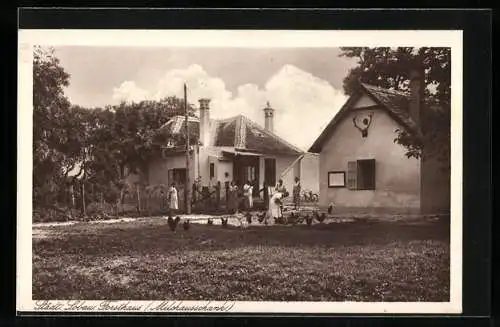 AK Wien, Städt. Lobau, Restaurant Forsthaus, Milchausschank