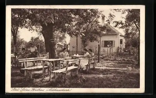 AK Wien, Städt. Lobau, Garten des Milchausschank am Restaurant Forsthaus