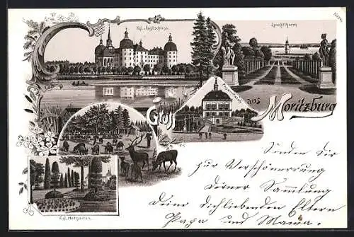 Lithographie Moritzburg / Sachsen, Anlagen mit Leuchtturm, Kgl. Jagdschloss vom Wasser aus