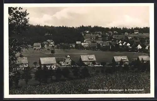 AK Hallwangen /Freudenstadt, Ortsansicht aus der Vogelschau