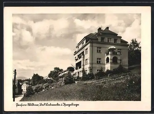 AK Bad Liebwerda i. Isergebirge, Die Pension Wildner