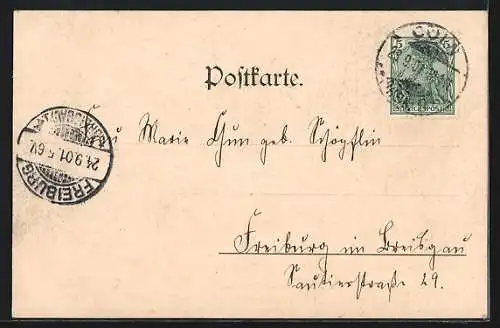 AK Köln-Neustadt, Kaiser Wilhelm-Ring, Grünanlage