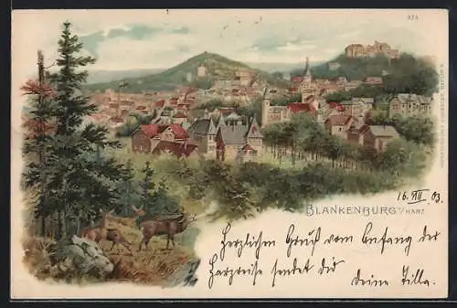 Lithographie Blankenburg / Harz, Gesamtansicht mit Schloss