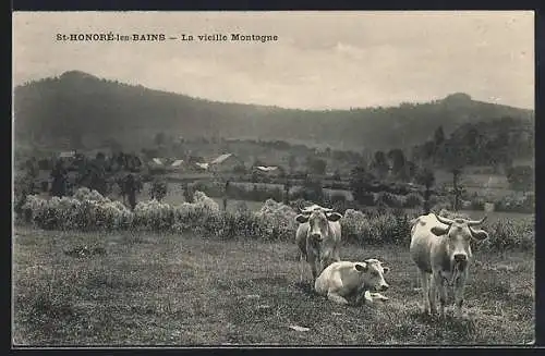 AK St-Honoré-les-Bains, La vieille Montagne avec des vaches dans un paysage rural