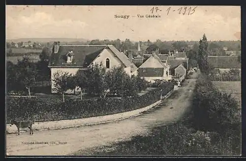 AK Sougy, Vue Générale du Village avec Route et Maisons