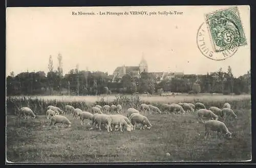 AK Vernoy, Les Pâturages du Vernoy près Sully-la-Tour, troupeau de moutons en pâturage